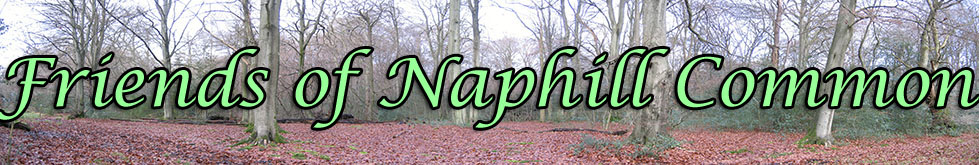 Friends of Naphill Common