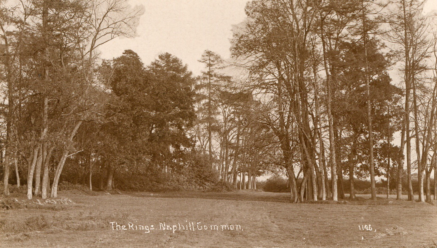 The Clumps